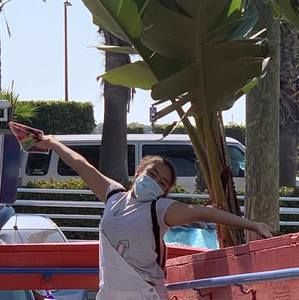 Meet your Posher, Ada april